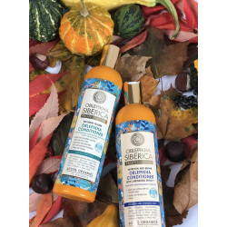 NS Conditioner With Organic Oblepikha Hydrolate