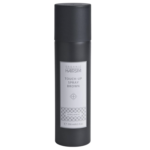 OH Touch Up Spray Brown 