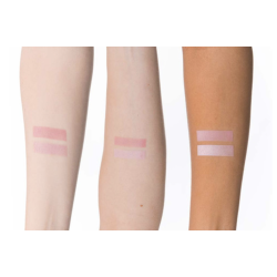 Cheek Duo Blush Naked Pink