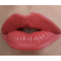 Sandstone Lipstick 42 New Spring